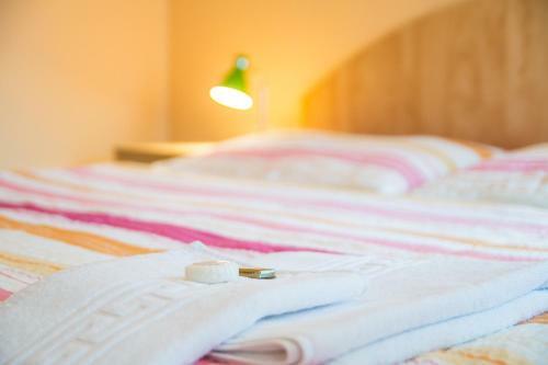 Hostal Penzion V Parku
