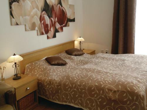Apartment Zizkova Brana