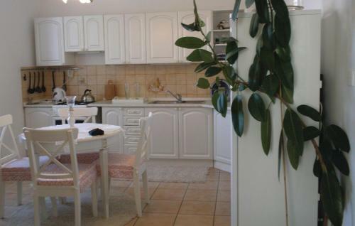 Apartment Zizkova Brana