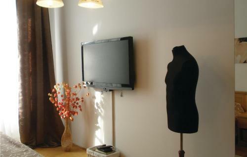Apartment Zizkova Brana