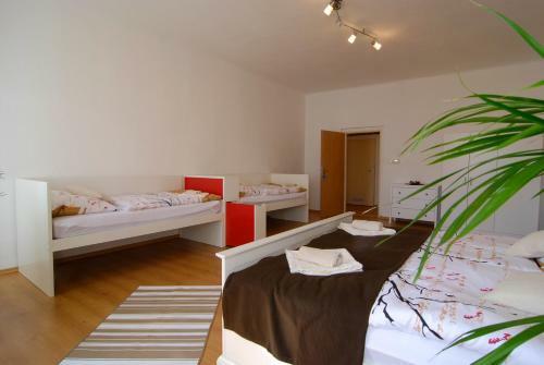 Hostal Fontana Pizzeria - Pension