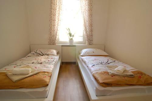 Hostal Fontana Pizzeria - Pension
