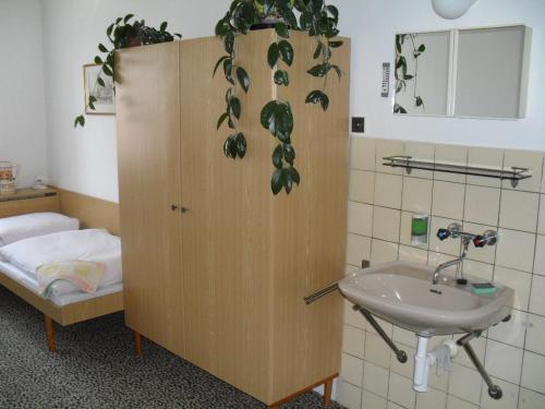 Hostal Pension Begonie