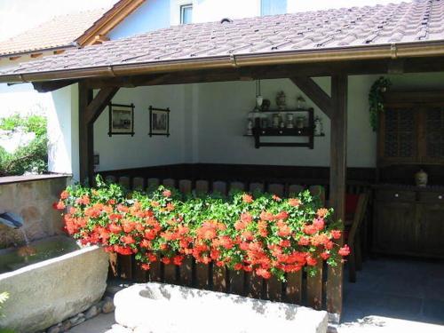 Hostal Pension Begonie