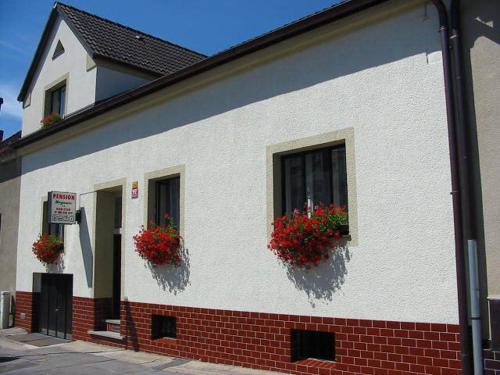Hostal Pension Begonie