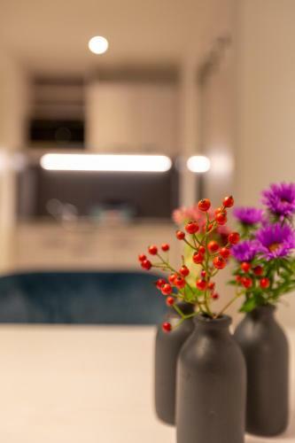 Boardinghouse Hirsch - Apartments In Kork