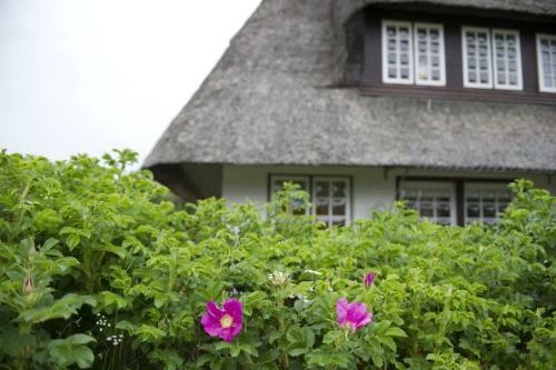 Ferien Domizil Westerh�rn 24