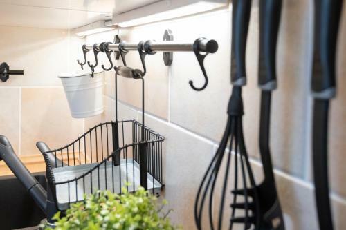 Apartamento M�wenblick