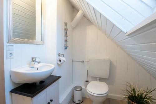 Apartamento M�wenblick