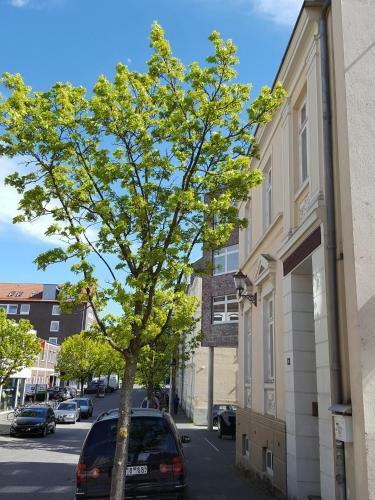 Apartments Harmsstra�e 13
