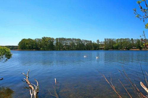 Bungalow Freiheit Am Gro� Labenzer See Klein Labenz - Dms01100d-b