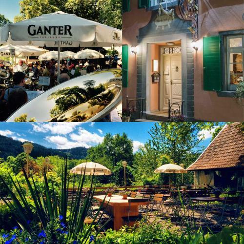 Hotel Gasthaus Birke