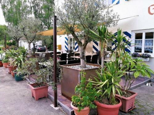 Landhotel R�merkessel