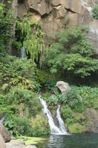 Hotel H�tel Les Cr�oles