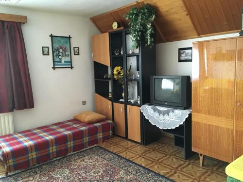 Apartment Martinice V Krkonosich 1