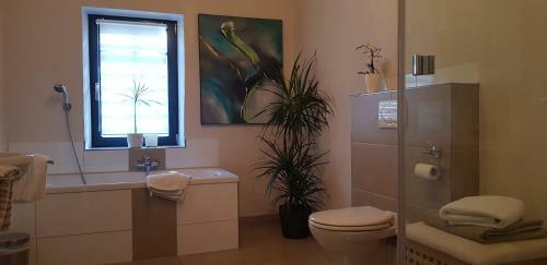 Apartamento Weingut Schunck