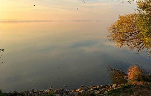 Awesome Home In Lembruch/d�mmer See W/ Sauna And 2 Bedrooms