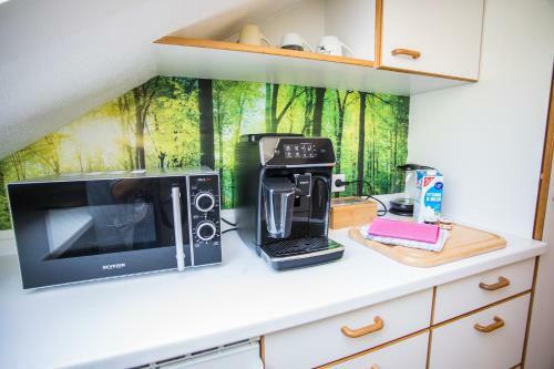 Apartamentos Auszeit Im Schwarzwald