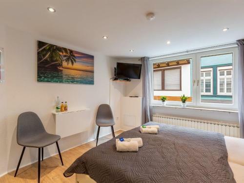 Pleasant Apartment In Linz Near River Rhine