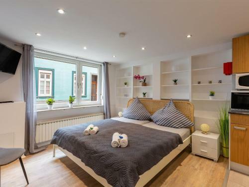 Pleasant Apartment In Linz Near River Rhine