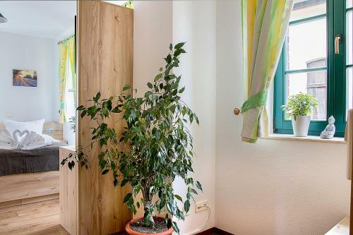 Hostal Gasthof M�hle