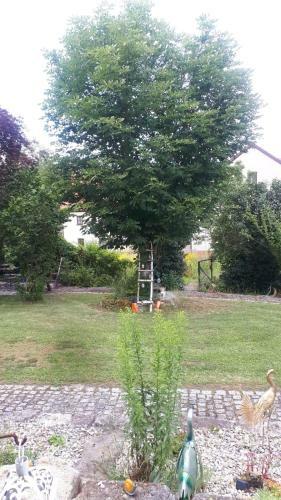 Hostal Pension Ba-bett's
