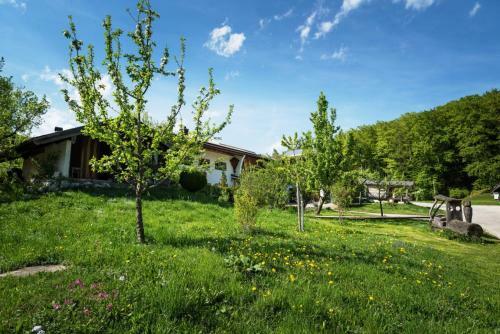 Agroturismo Ferienwohnungen Freidinglehen