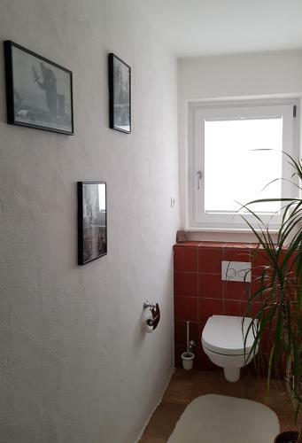Kleines H�uschen Im Gr�nen