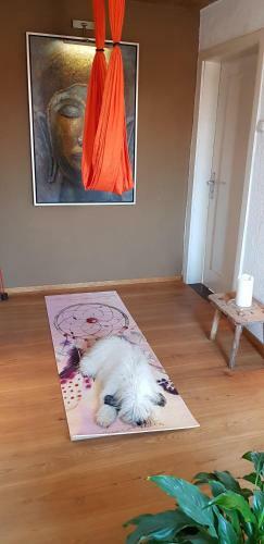 Kleines H�uschen Im Gr�nen