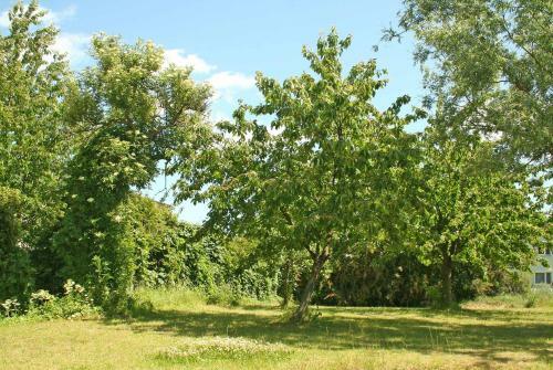 Apartamento Ferienwohnungen Mirow See 10360