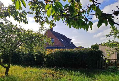 Tierfreundliches Ferienhaus Mirow