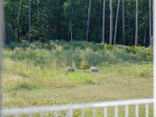 Apartamento K�ste Und Wald In Graal-m�ritz