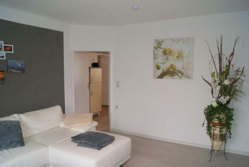 Apartamento Has Und Igel