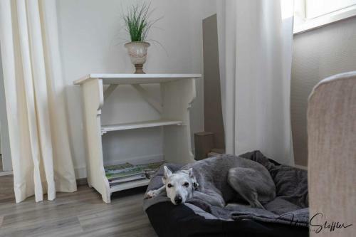Apartamento Fereinwohnung Hugely
