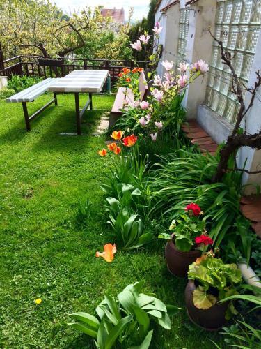 Hostal Pension Crhan