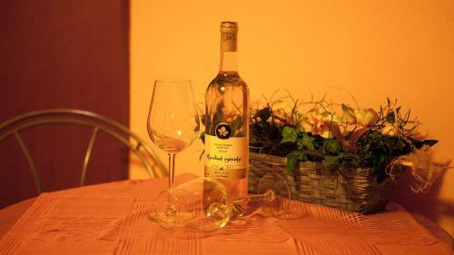 Hostal Penzion Zatisi