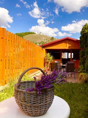 Hostal Guesthouse Mikul�? Mikulov