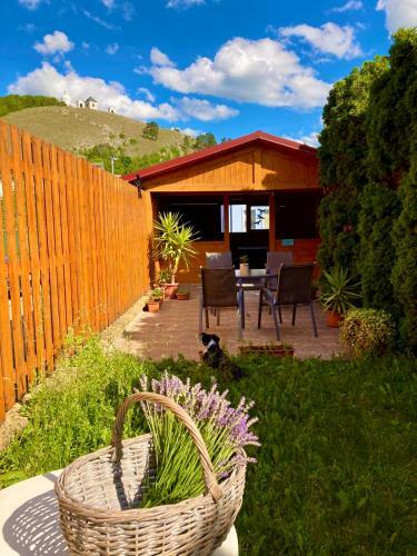 Hostal Guesthouse Mikul�? Mikulov