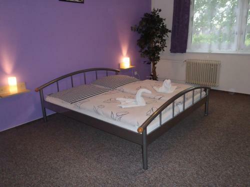 Hostal Penzion Starr
