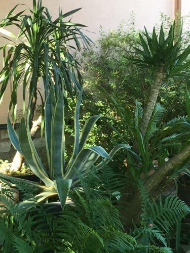 Hostal Pension Sonja M�ller