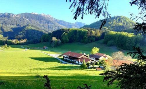 Apartamentos Gschwendtnerhof