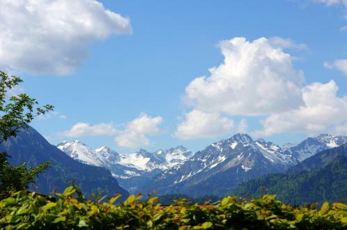 Apartamento Alpenblick