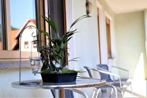 Apartamento Ferienwohnung R�hrer