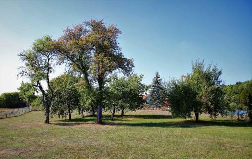 Apartamento Ferienwohnung R�hrer