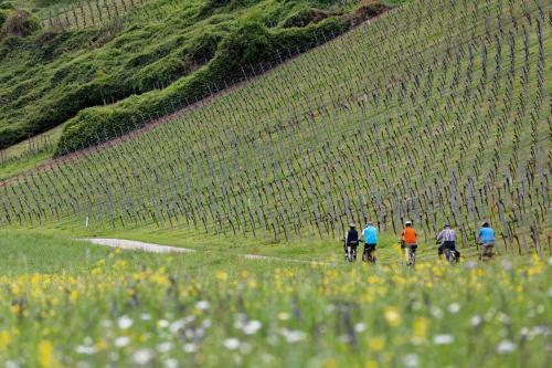 Agroturismo Ferienhof Laurentius