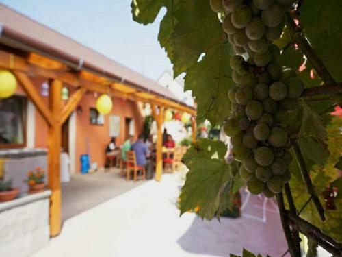 Hostal Privat Bohemia