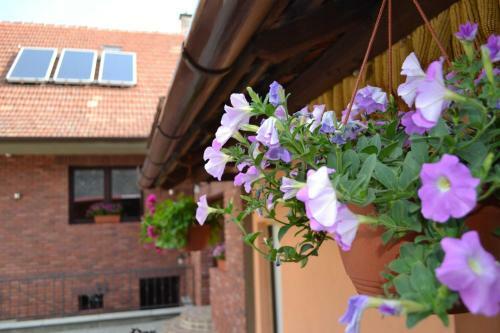 Hostal Penzion Vina?sk� Dvorek