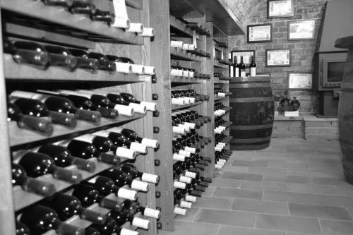 Hostal Penzion Vina?sk� Dvorek