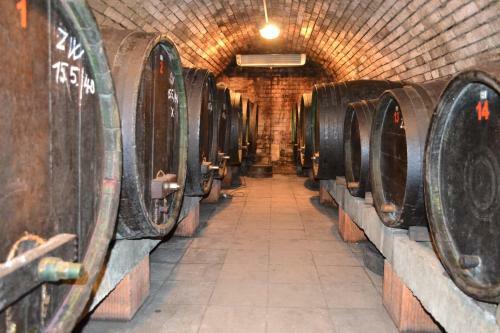 Hostal Penzion Vina?sk� Dvorek