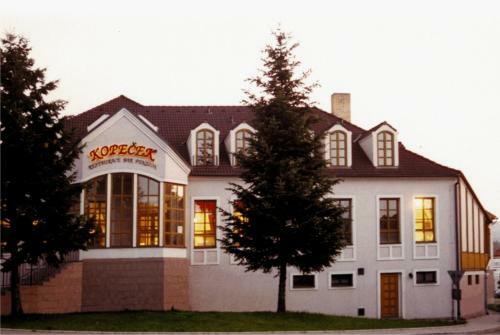 Hostal Z�meck� Penzion Kope?ek